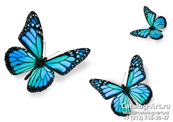  Butterflies 56